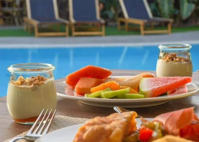 Elements By Alondra Πουέρτο Ντελ Κάρμεν