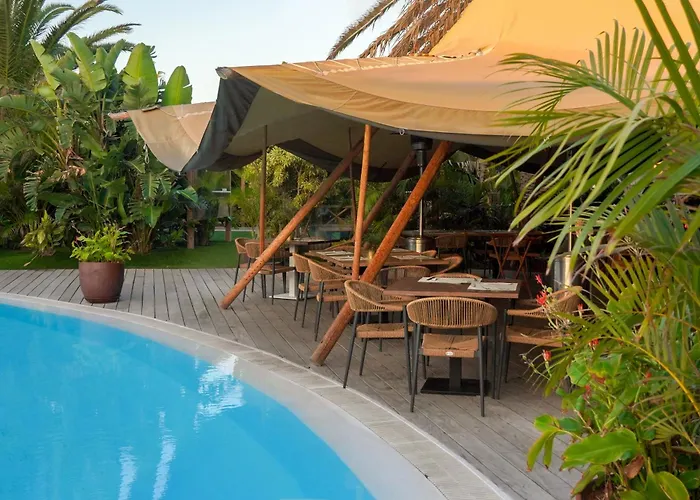 Elements By Alondra * Πουέρτο Ντελ Κάρμεν